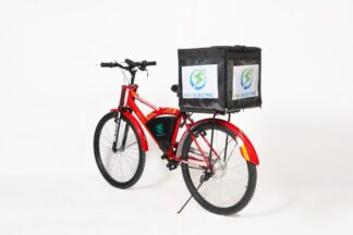 PAKZON ELECTRIC DELIVERY BICYCLE
